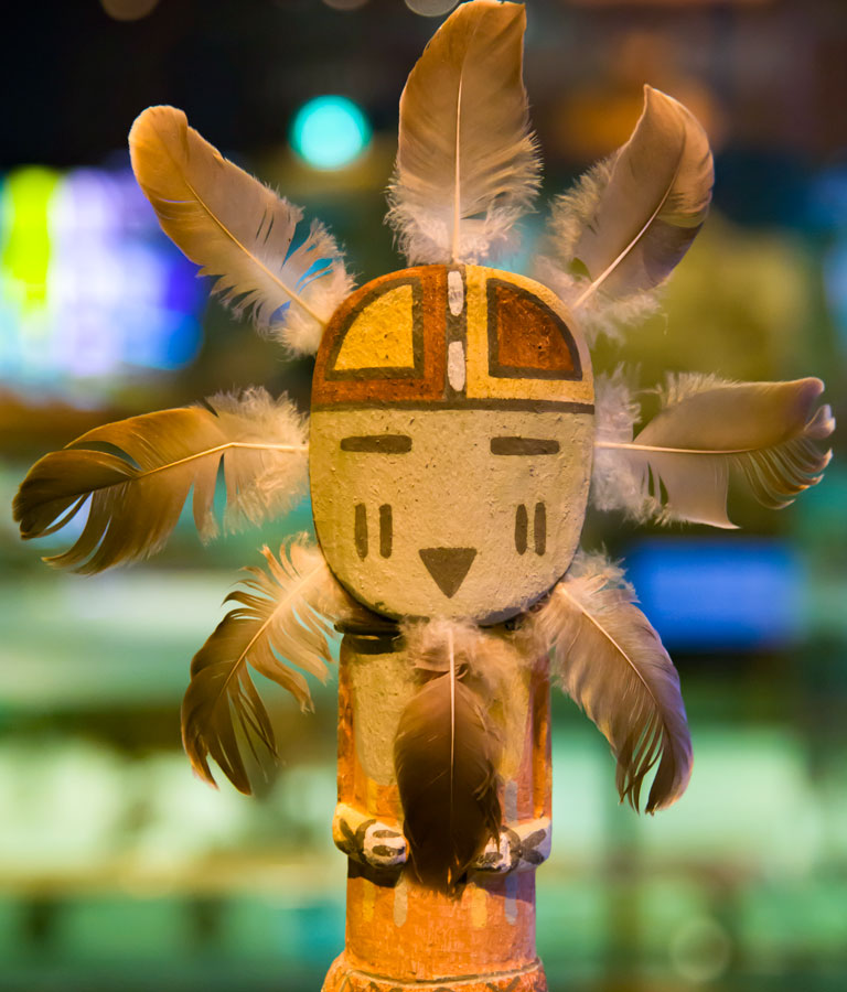 Native American Collector Bookstore