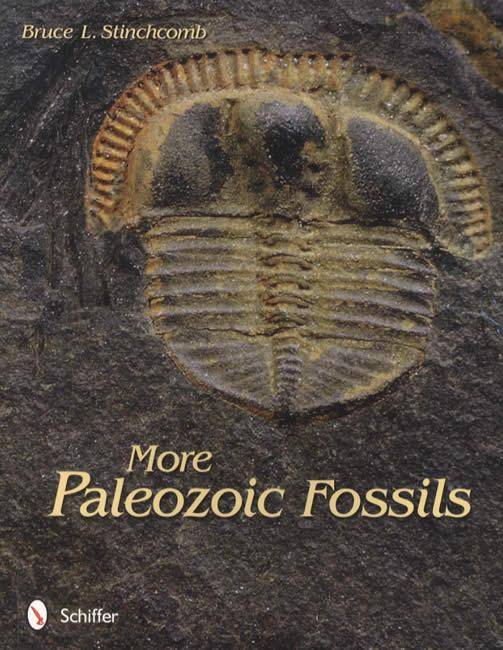 More Paleozoic Fossils by Bruce L Stinchcomb