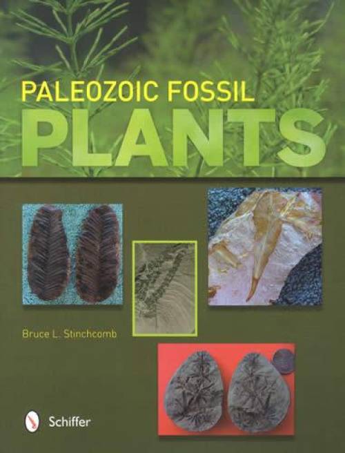 Paleozoic Fossil Plants by Bruce L. Stinchcomb