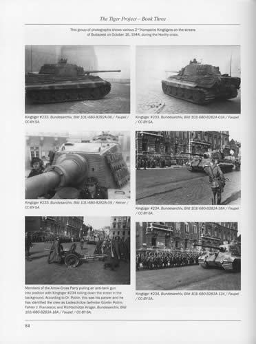 The Tiger Project: Germany's World War II Tiger Tank Crews, Book Three: Dr. Gunter Polzin with Martin Burmester by Dale Richard Ritter