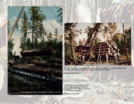 Logging Long Ago by Mary Martin, James Thompson, Tina Skinner
