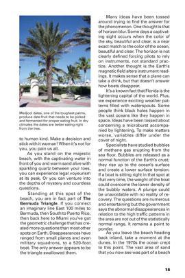 A Walking Tour of Lincoln Road, South Beach by Kevin & Becky Plotner