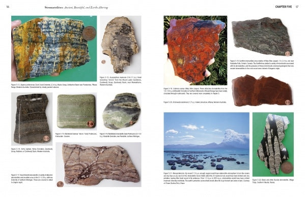 Stromatolites: Ancient, Beautiful, and Earth-Altering by Bob Leis, Bruce L. Stinchcomb