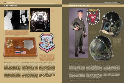 Yankee Air Pirates: U.S. Air Force Uniforms and Memorabilia of the Vietnam War: Vol.2: Bases - Aerial Ports - Medical - Tactical Airlift - Air Commando - Special Operations - Strategic Air Command - Prisoners of War by Olivier Bizet, Francois Millard
