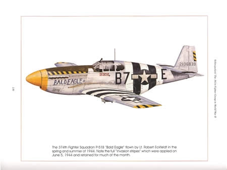 Yellowjackets: The 361st Fighter Group in WWII by Paul Cora