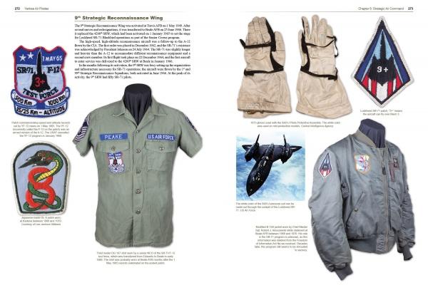 Yankee Air Pirates: U.S. Air Force Uniforms and Memorabilia of the Vietnam War: Vol.2: Bases - Aerial Ports - Medical - Tactical Airlift - Air Commando - Special Operations - Strategic Air Command - Prisoners of War by Olivier Bizet, Francois Millard