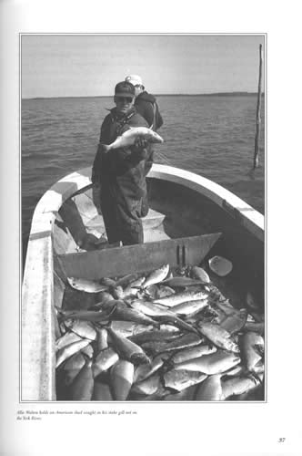 Harvesting The Chesapeake: Tools & Traditions by Larry S. Chowning