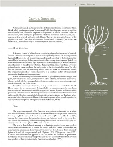 Collector's Guide to Crawfordsville Crinoids by William W. Morgan