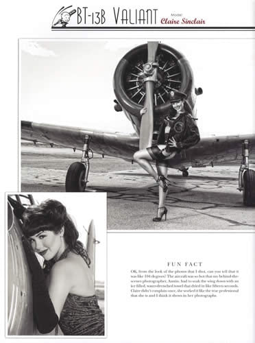 Wings of Angels: A Tribute To The Art Of WWII Pinup & Aviation, Vol 1 by Michael Malak