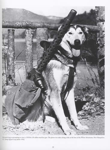 U.S. Military War Dogs in World War II by Robert Rosenkrans