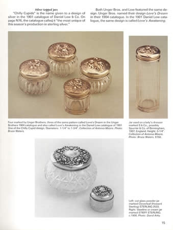 Silver Curios In the Home by Dorothy Rainwater, Beryl Frank