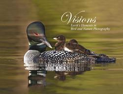 Visions: Earth's Elements in Bird and Nature Photography by Kevin T. Karlson, Lloyd Spitalnik & Scott Elowitz
