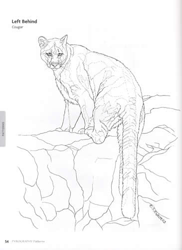 Pyrography Patterns: Techniques & 30 Wildlife Designs for Woodburning ...