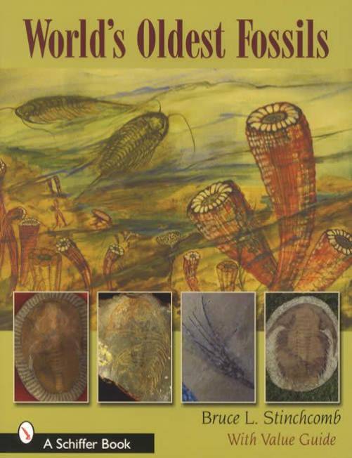 World's Oldest Fossils by Bruce Stinchcomb